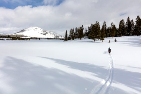 Skiers break trail on the Sheepeater Ski Trail