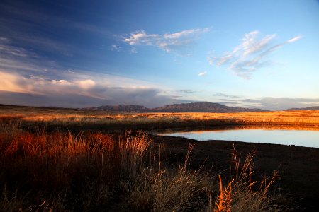 SAN RAFAEL VALLEY GRASSLANDS, SE of Patagonia, scc, az (11-15-12) -06 early morning at tank on border