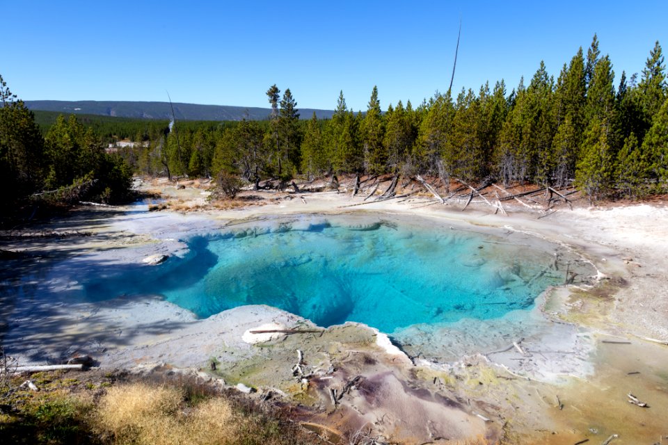 Emerald Spring on a sunny afternoon