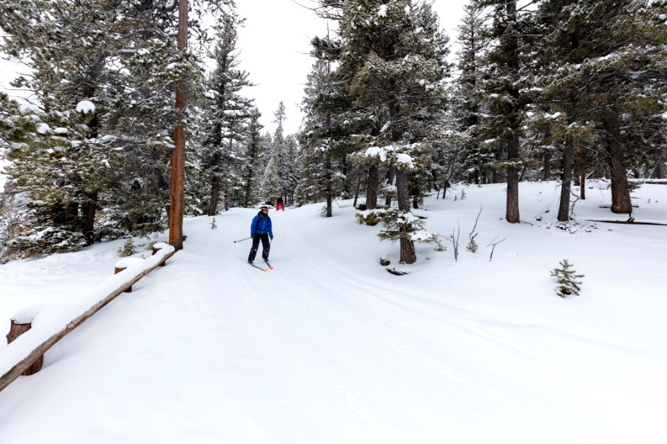Views along the Bunsen Peak Road Ski Trail (4)