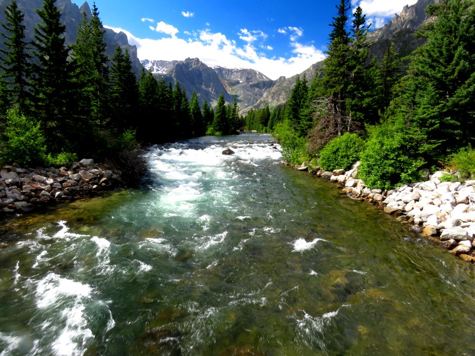 10 - MT (7-19-2019) 5400 ft, emerald lake c g,west rosebud road, custer-gallatin nat for, stillwater co, mt -03