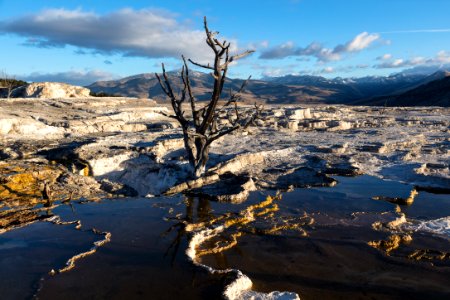 Mammoth Hot Springs Upper Terrace at Sunrise photo