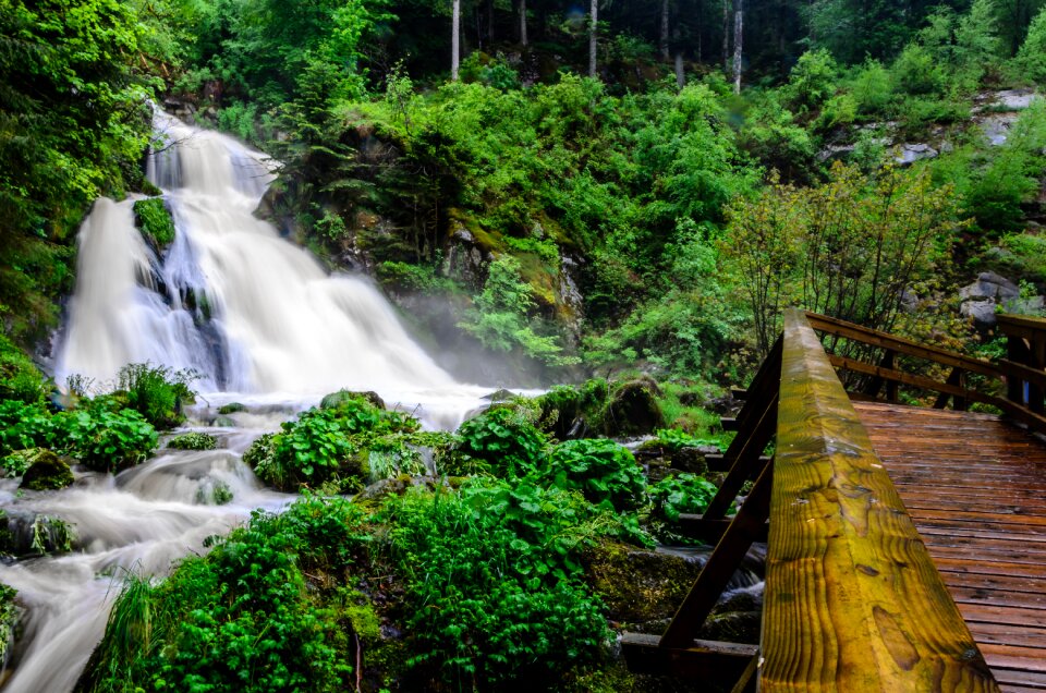 Waterfall water forest