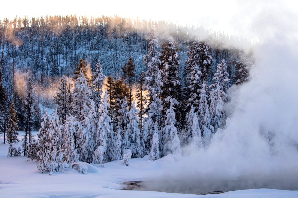 Steam and Rime Ice Near Bijah Spring