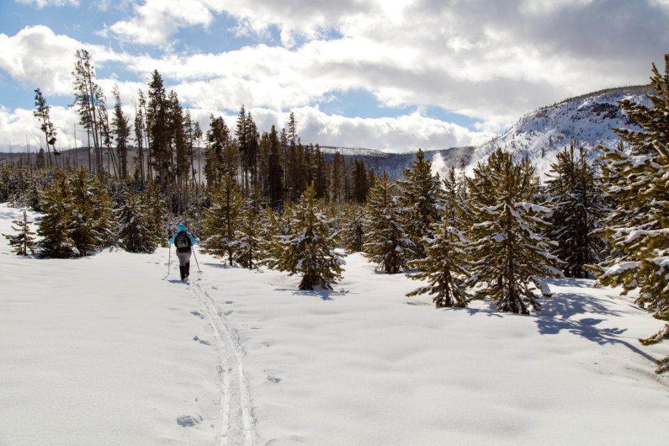 Skier on the trail from Black Sand Pool to Black Sand Basin