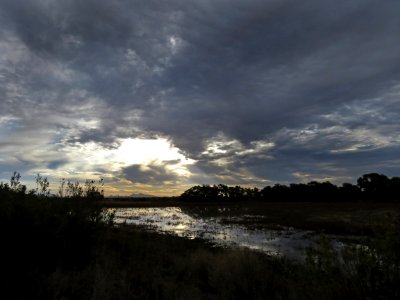 WHITEWATER DRAW WILDLIFE AREA (11-6-2020) early morning, cochise co, az -10