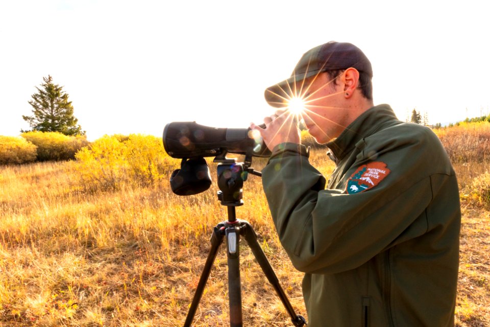 Yellowstone Bird Program (4):  Biological Science Technician Keegan Burke glasses the area