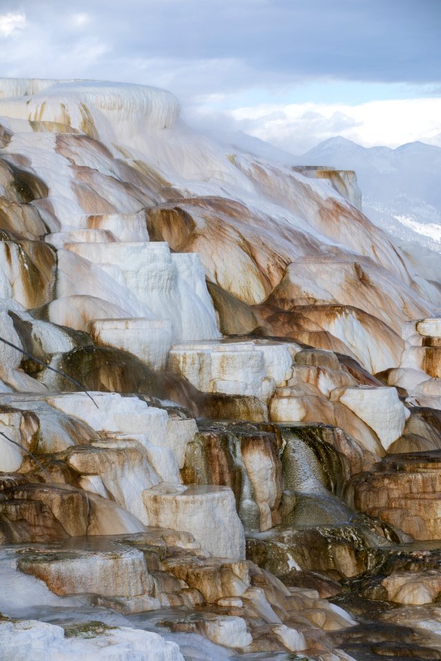 Canary Spring at Mammoth Hot Springs