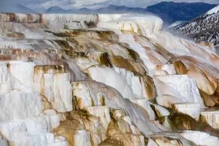 Canary Spring at Mammoth Hot Springs photo