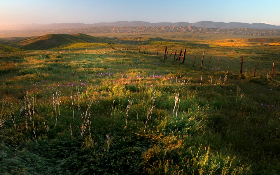 PADRONNES SPRINGS ROAD AREA, Carrizo Plain National Monument, San Luis Obispo Co, CA (4-9-2019) -09