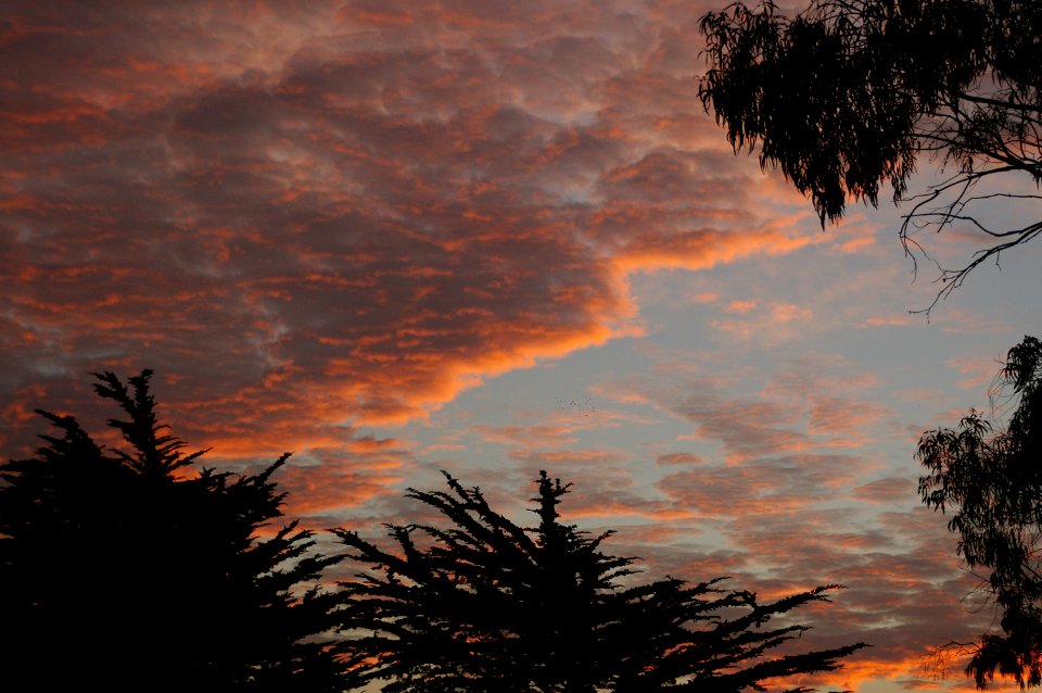 Morro Bay State Park