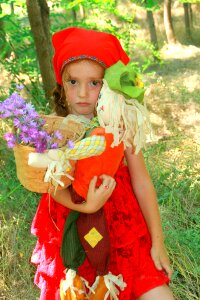 Forest basket story