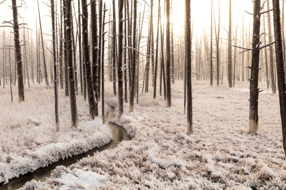 Sunrise at Tangled Creek (2)
