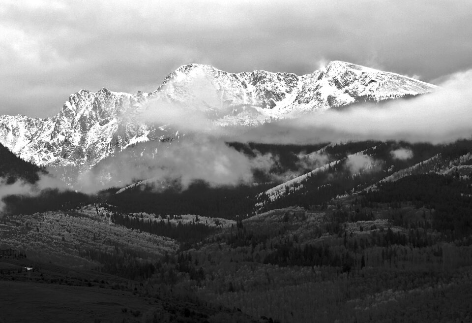 Trees hills valleys