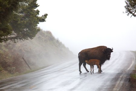 Please drive carefully