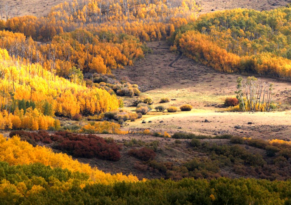 BOULDER MT, GARFIELD COUNTY, UT - 2016-09-30 fall color (5)