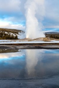 Old Faithful eruption reflected in a puddle