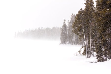 Blizzard at Lewis Lake photo