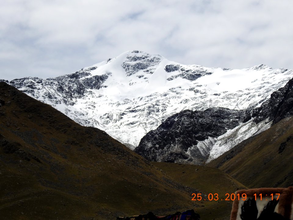 DSCN4374
