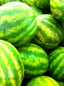 Watermelon