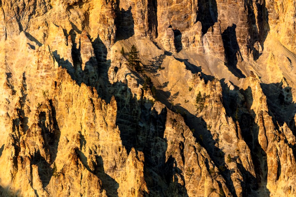 Canyon fins at sunset