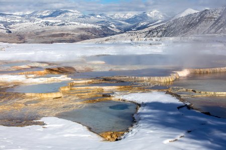 Mammoth Hot Springs photo