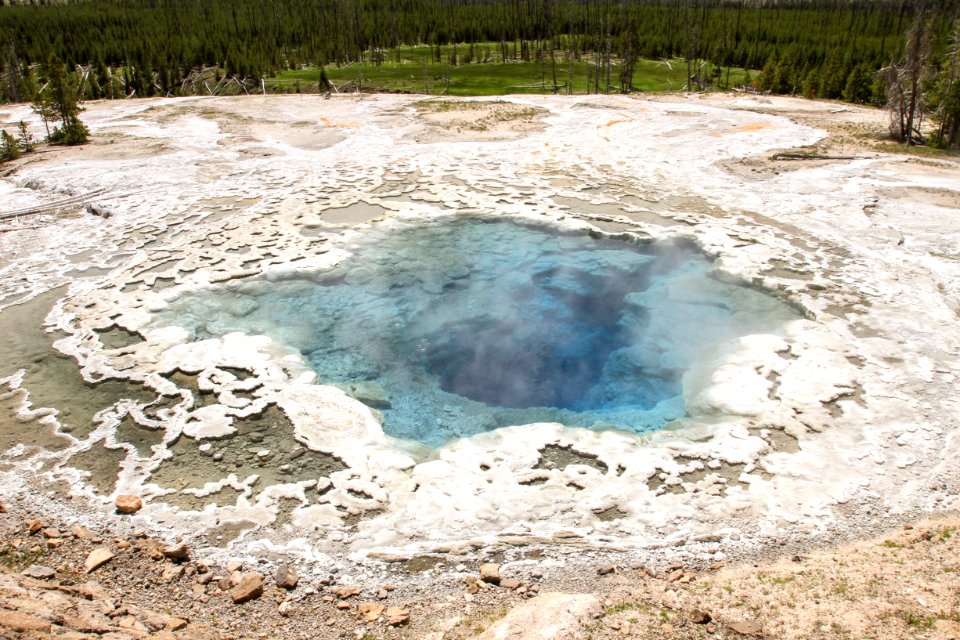 Artemisia Geyser photo