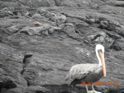 DSCN3098