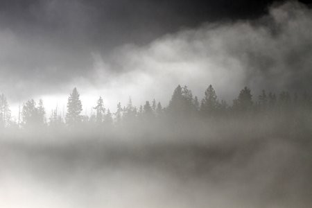 Fog at Pebble Creek photo