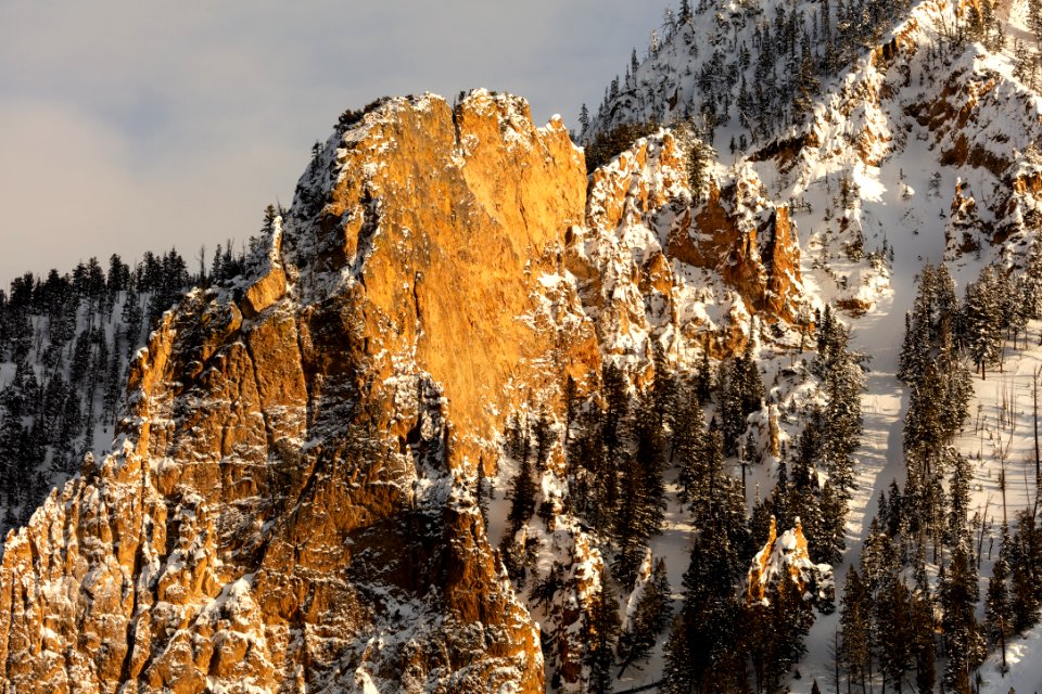 Bunsen Peak glows in the afternoon light