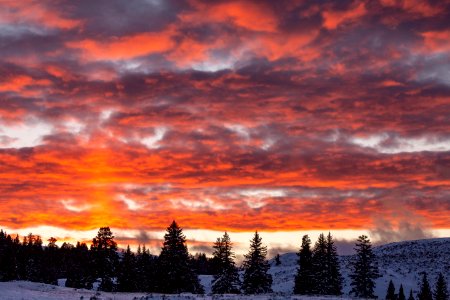 Colorful winter sunset in Lamar Valley photo