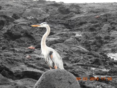 DSCN3143