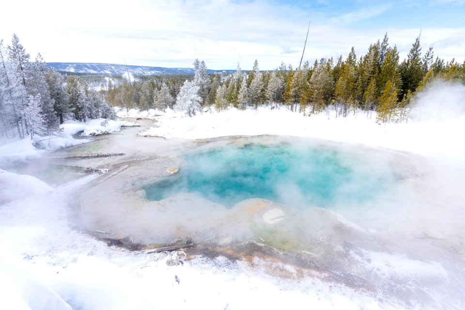 Emerald Spring steams on a  cold winter morning