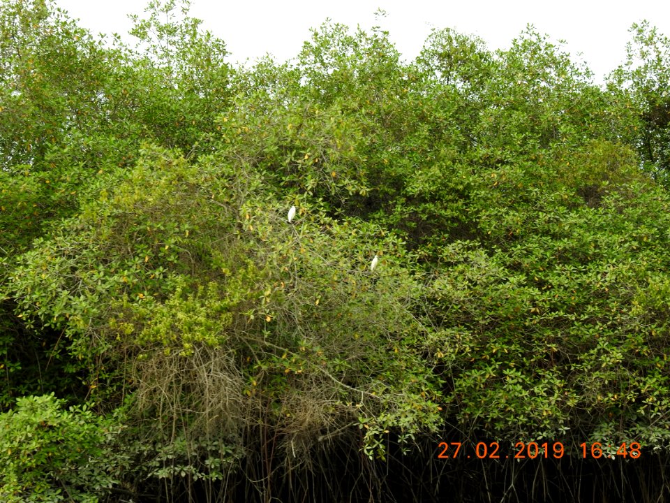 DSCN2709