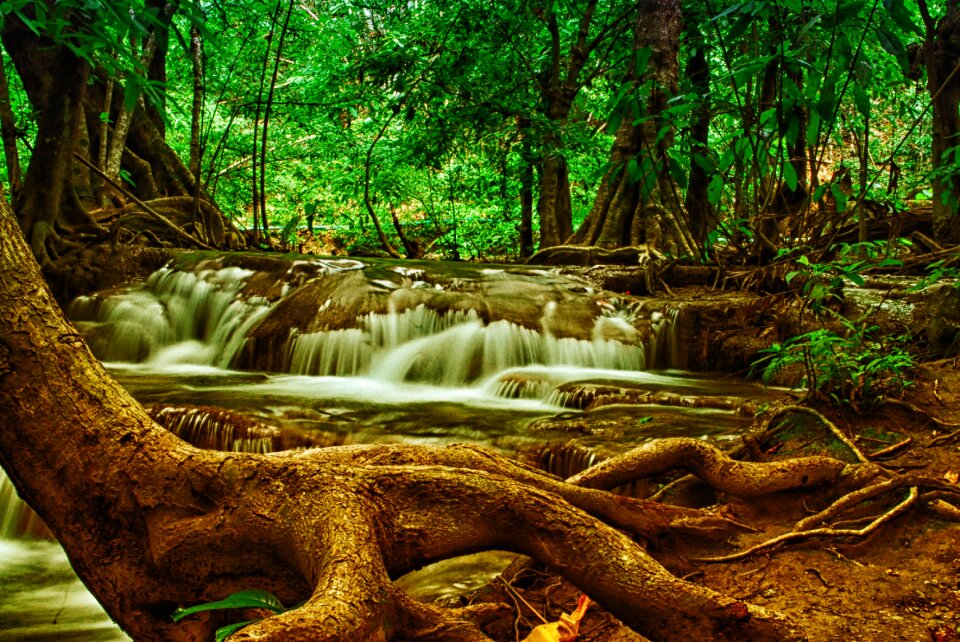 Nature national-park thailand