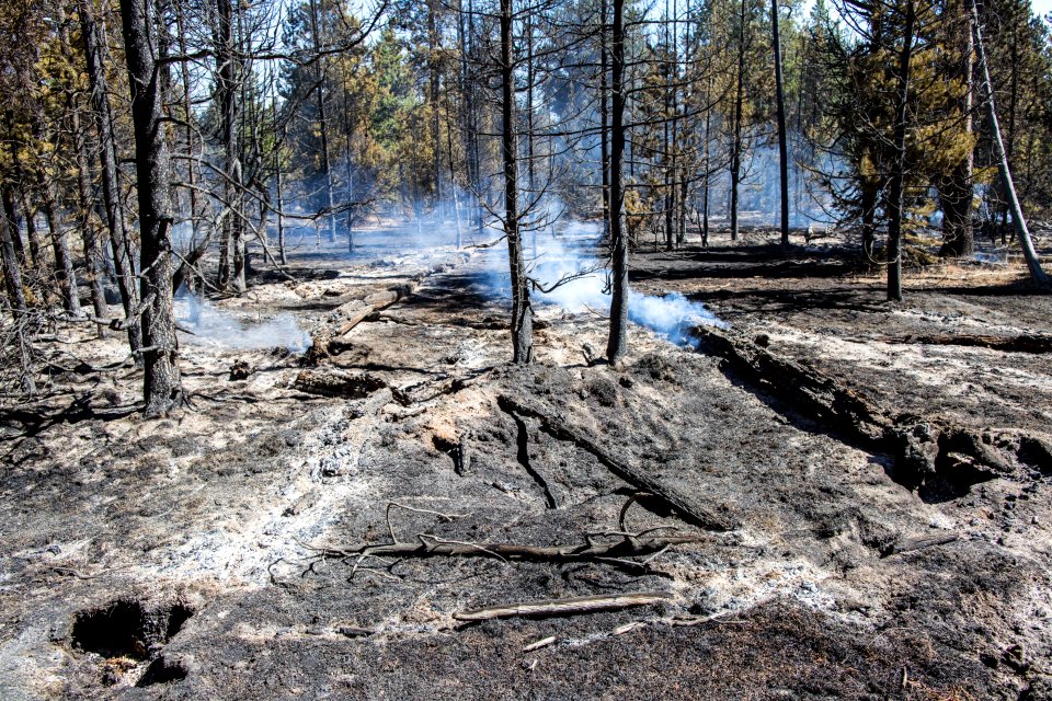 Maple Fire, September 10, 2016