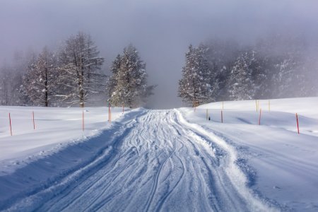 Snowy road leading into the steam near Mud Volcano photo