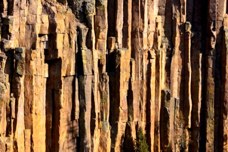 Evening light on basalt columns photo