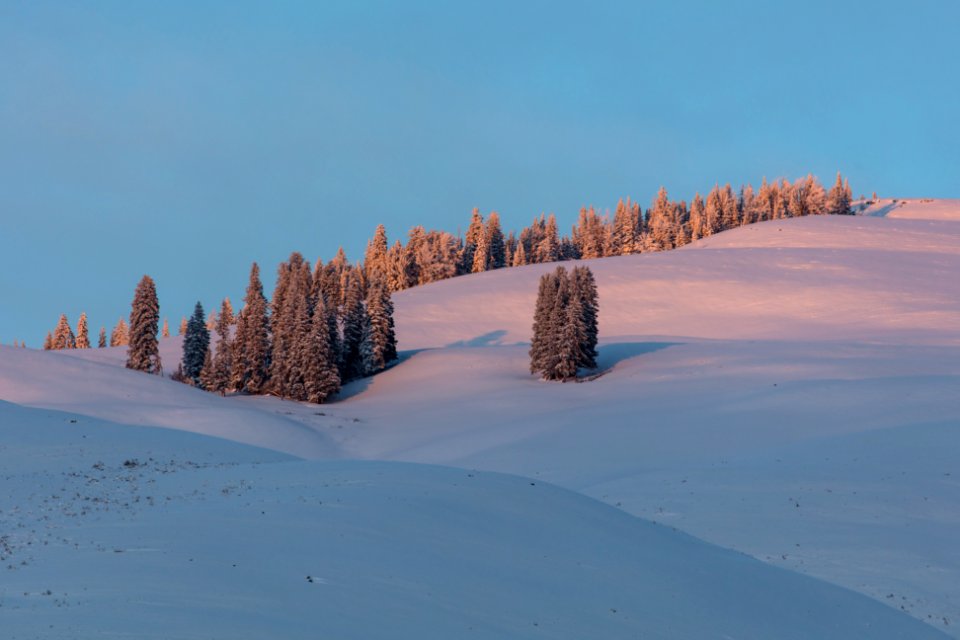 Last light on flanks of Bison Peak
