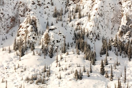 Snowy cliffs of Mt. Haynes