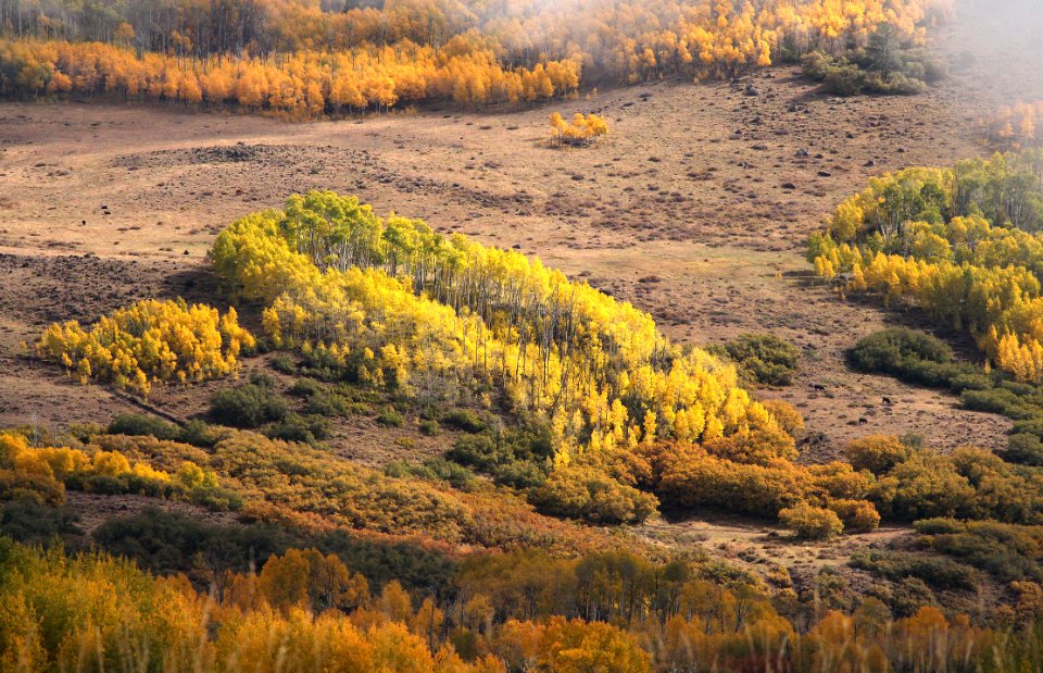 BOULDER MT, GARFIELD COUNTY, UT - 2016-09-30 fall color (4)