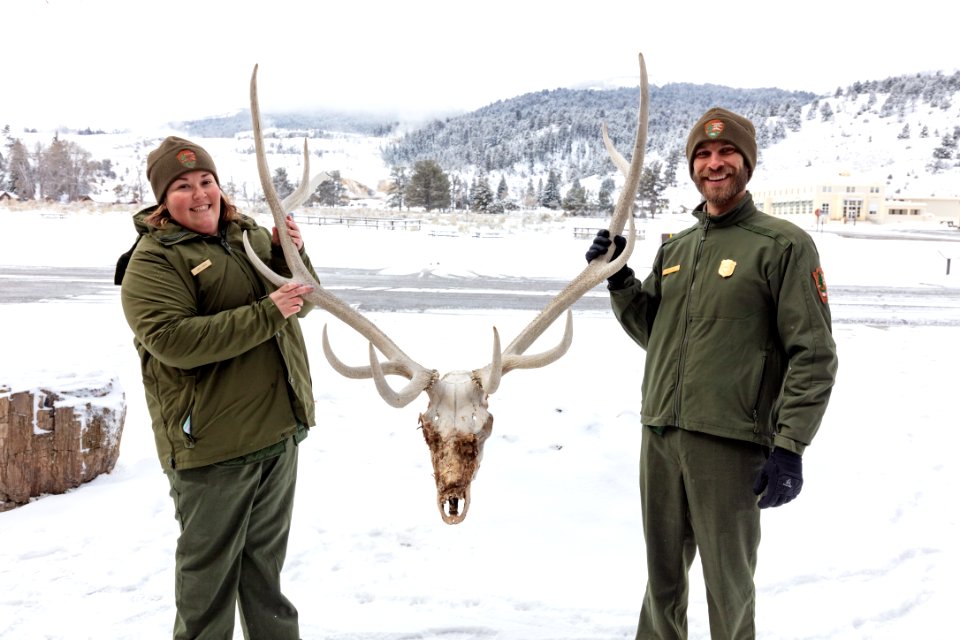 Education rangers holding an elk skull for a live video broadcast