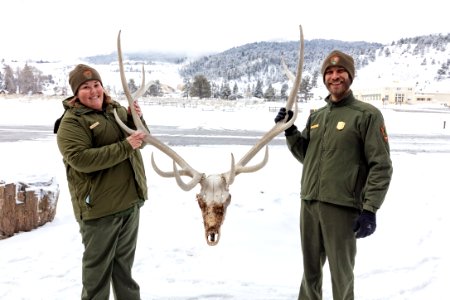 Education rangers holding an elk skull for a live video broadcast