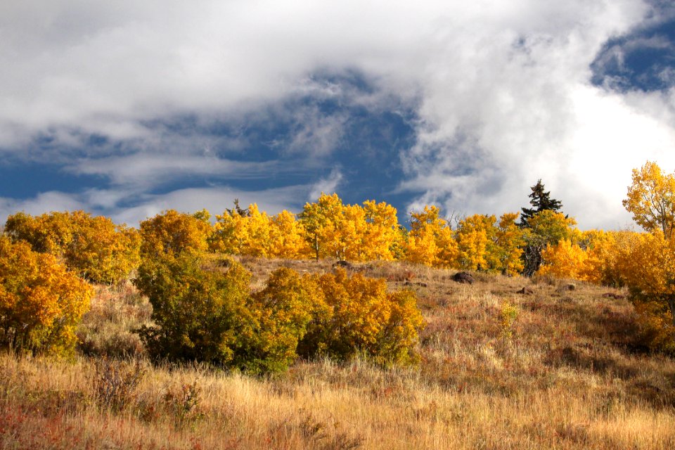 BOULDER MT, GARFIELD COUNTY, UT - 2016-09-30 fall color (10)