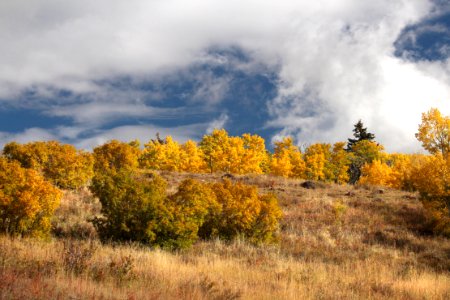 BOULDER MT, GARFIELD COUNTY, UT - 2016-09-30 fall color (10)