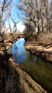 SAN PEDRO RIVER, cochise co, az - upstream from san pedro house (3)