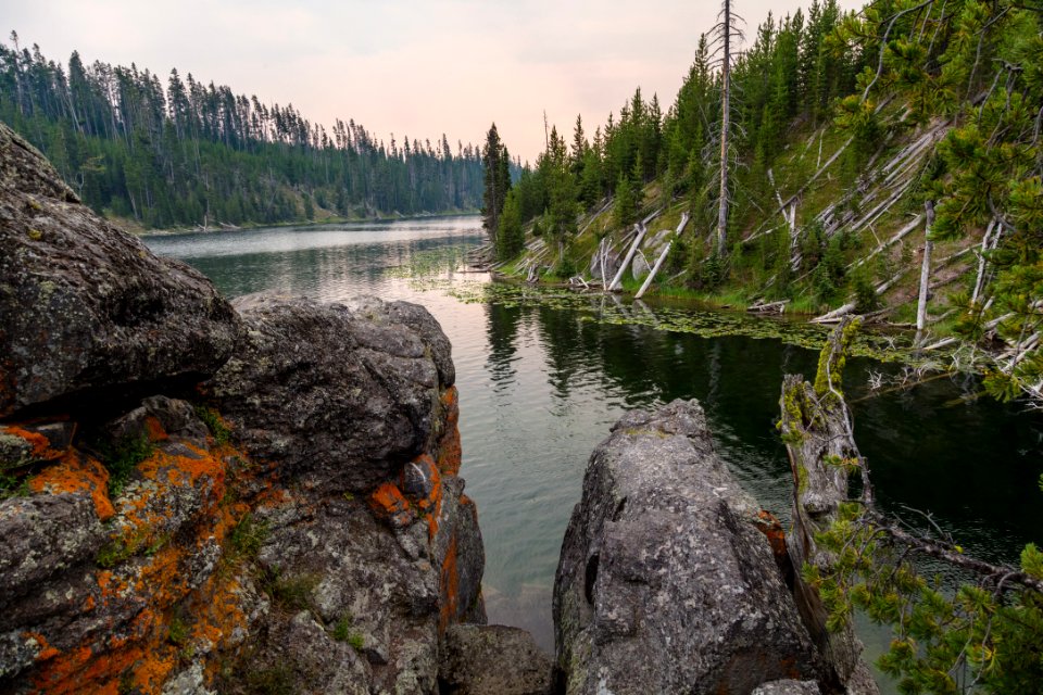 Overlooking the Lewis River Channel