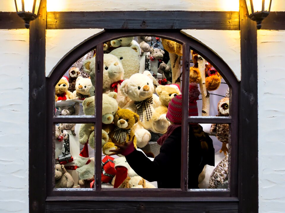 Teddy bear stuffed animal window