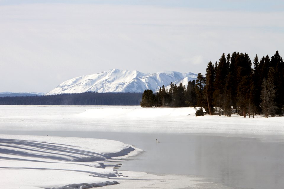 Outlet of Yellowstone Lake photo