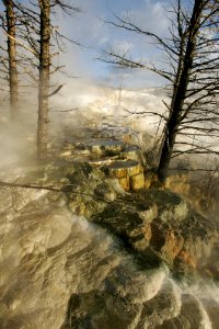 Mammoth Hot Springs
